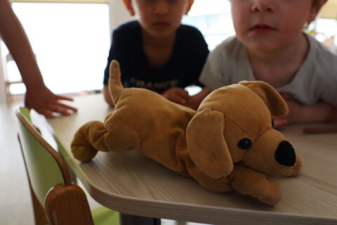 Gros plan d'un chien en peluche avec en arrière fond deux petits garçons qui la regardent