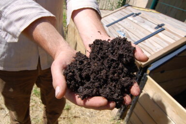 Gros plan de compost dans les mains d'un homme qui se tient devant un composteur