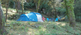 Tente bleue plantée au camping de Maubec, au cœur d'une pinède