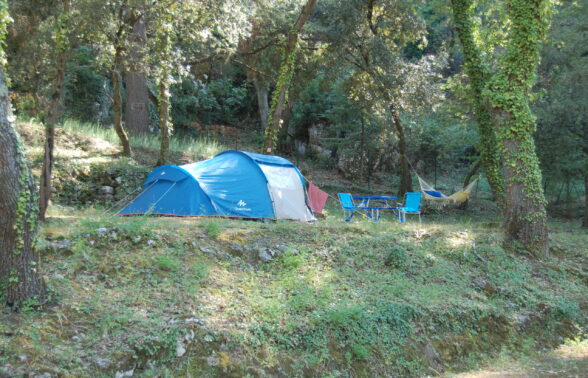 Tente bleue plantée au camping de Maubec, au cœur d'une pinède