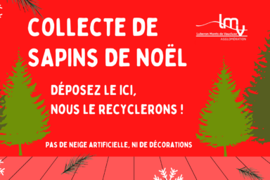 Collecte de sapins de Noël