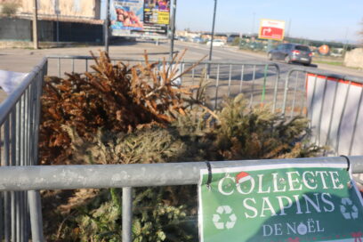 Point de collecte à Cavaillon dans lequel on retrouve des sapins de Noël avec une affiche de communication pour la collecte de sapins en premier plan - Agrandir l'image, fenêtre modale