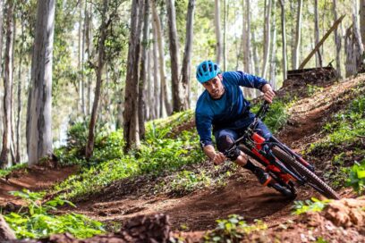 Un cycliste en train de traverser un chemin au milieu d'une forêt. - Agrandir l'image, fenêtre modale