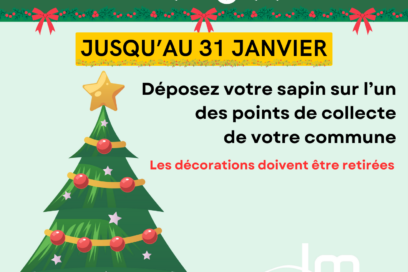 Affiche de la collecte de sapins - Agrandir l'image, fenêtre modale